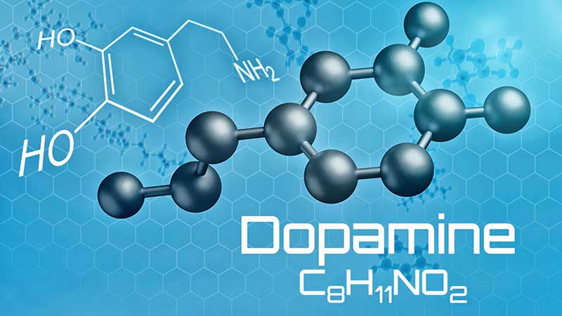 Dopamine Fasting