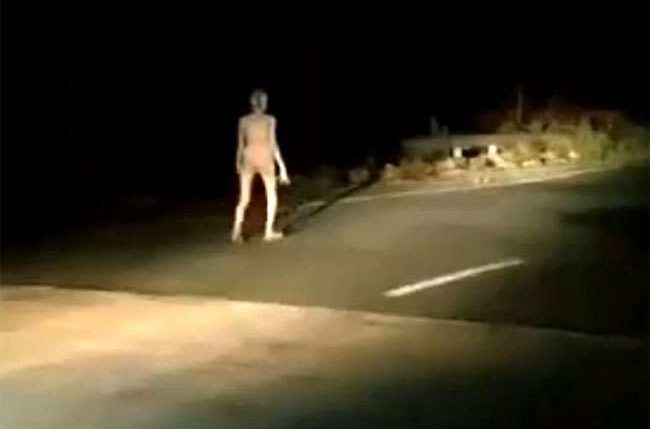 Extremely Bizarre Creature Filmed Walking Along A Highway