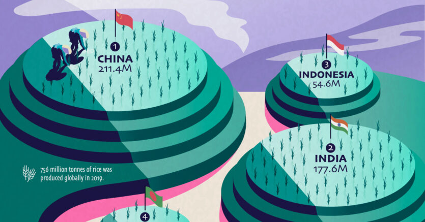 Visualizing The Worlds Biggest Rice Producers
