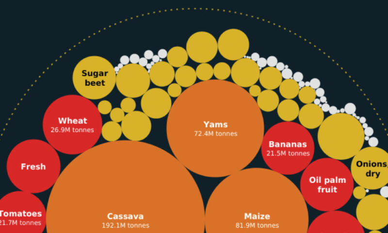 What Are The Most Produced Cash Crops In Africa?