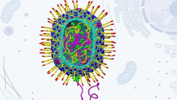A Nasty Virus That Infects Bacteria Could Be Key To Improved Gene Therapies