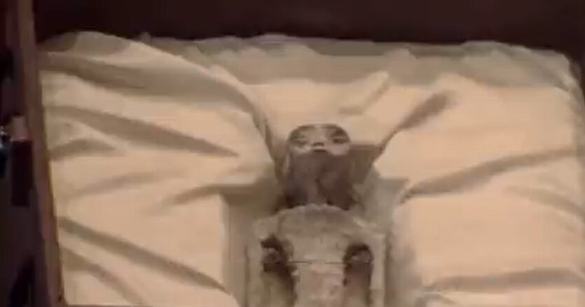 ‘Non Human Alien Corpses’ Unveiled At Mexican Congress UFO Hearing