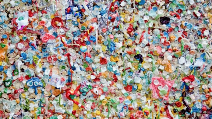 These Bacteria Eat Plastic Waste — And Then Transform It Into Useful Products
