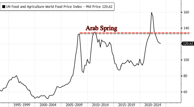 Arab Spring 2.0? Gro Intelligence's Head Warns Global Food Crisis 'Much Worse Than 2008'