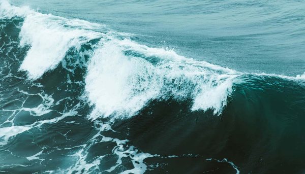 Rogue Waves Are Real And Now Predictable
