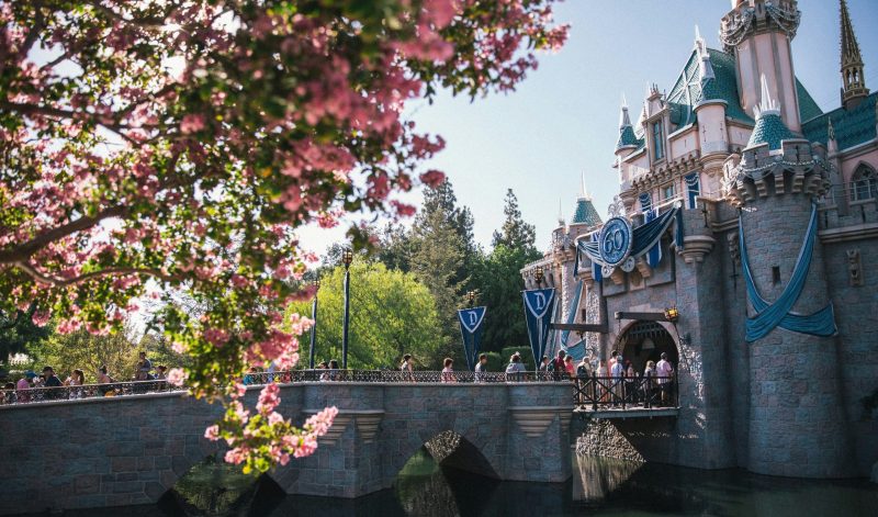 Disneyland Cast Members Vote To Join Labor Union