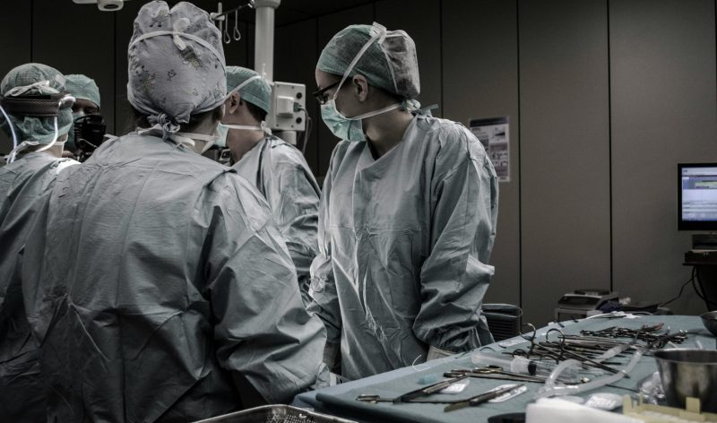 Gene-Edited Animal Organ Transplants Could Help End The Organ Donor Crisis