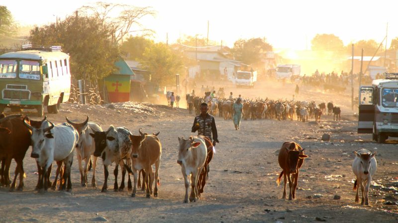 Superbug Emergency Puts Babies On The Frontline In Nigeria And Ethiopia