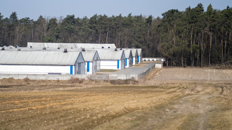 Poland’s Packed 'Ghost Farms' Present Threat Of Undetected Disease