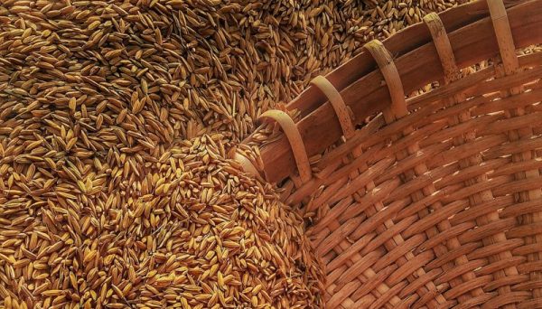 The Cost Of The Grain That Feeds Half The World Just Posted Biggest Monthly Surge Since 2008