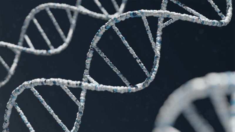 Death Of Girl In Chinese Gene-Editing Trial Kept Secret: Report